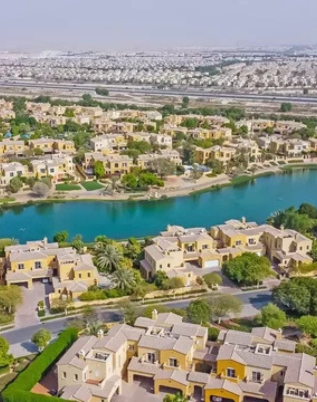 arabian ranches aura