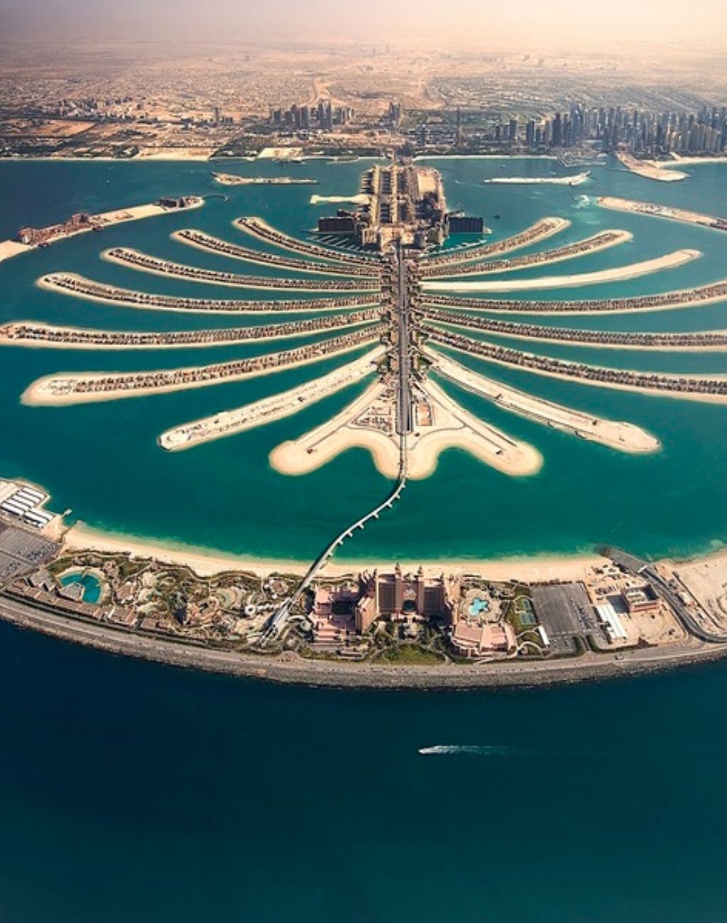 palm jumeriah comm